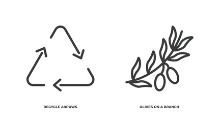 set of ecology thin line icons. ecology outline icons included recycle arrows, olives on a branch vector.
