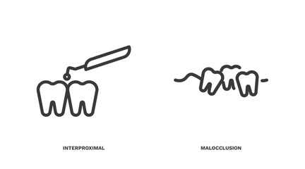 set of dental health thin line icons. dental health outline icons included interproximal, malocclusion vector.