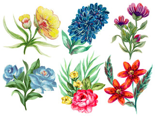 Field wild meadow flower template isolated elements garden party decoration greetings invitation