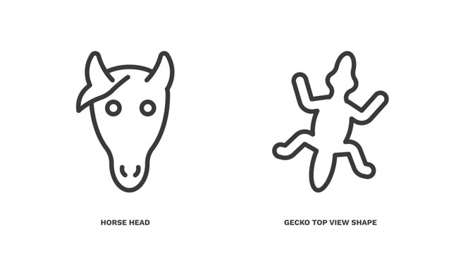 set of culture and civilization thin line icons. culture and civilization outline icons included horse head, gecko top view shape vector.