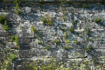 the old ancient stone wall of the fortress is overgrown with grass in places