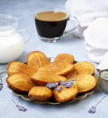 French cookies Madeleine in the form of shells