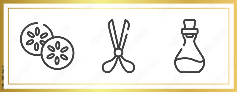 Poster spa outline icons set. linear icons sheet included cucumber, scissors opened tool, essence vector.