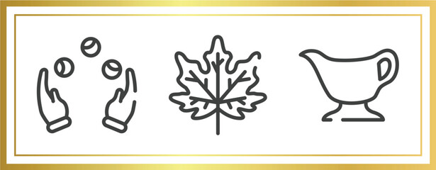 thanksgiving outline icons set. linear icons sheet included juggling, fall, gravy vector.