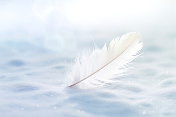 white feather on light snowy background for design