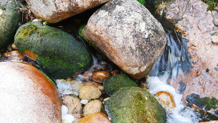 Ruisseau d'eau coulant entre des cailloux, des fines branches d'arbres, de pierres, dans une zone...