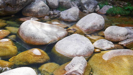 Ruisseau d'eau coulant entre des cailloux, des fines branches d'arbres, de pierres, dans une zone large forestière hispanique, fond brun, eau propre et limpide, source d'eau, environnement zen