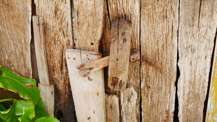 Porte défoncée, abimé par le temps, couvert de mousse végétale, en bois ancien, avec des murs...
