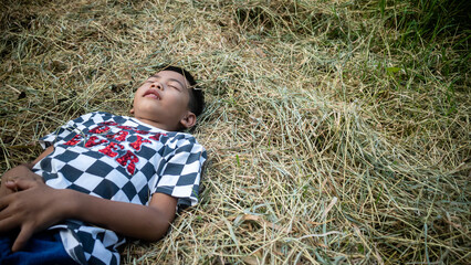 a little boy on a pile of dry hay