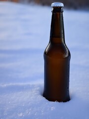 Bottle of Beer in the snow