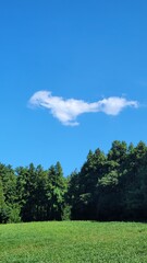 the blue sky, a white cloud, Scenery