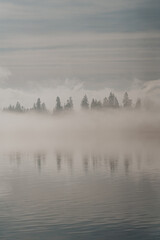 Fototapeta premium Softly reflecting trees dance in the water during sunrise 