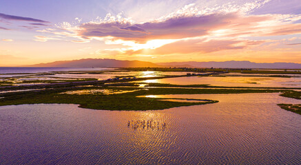 Flock of flamingos above the river Ebro, the delta region of the Ebro River in the southwest of the Province of Tarragona in the region of Catalonia in Spain