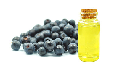 blueberry essential oil in a bottle isolated on a white background