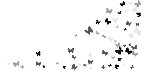 Tropical black butterflies flying vector illustration. Spring little moths. Wild butterflies flying dreamy wallpaper. Sensitive wings insects graphic design. Nature creatures.