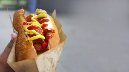 hot dog. sausage in a bun with ketchup and mustard, street food on a summer day, a quick snack