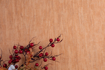 Branch of red berries and dry branch on orange textured background with copyspace