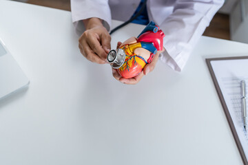 Doctor with anatomical model of human heart Cardiologist supports the heart. heart diagnose medical...