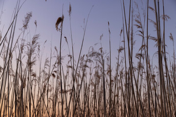 a beautiful reflection of the colorful sky in the water at sunset