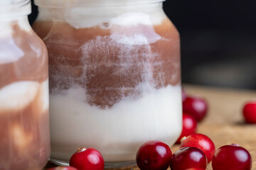 Yogurt with plum jam in a jar