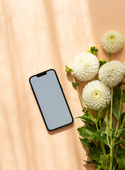 White dahlias flowers and mobile phone with blank screen on beige background