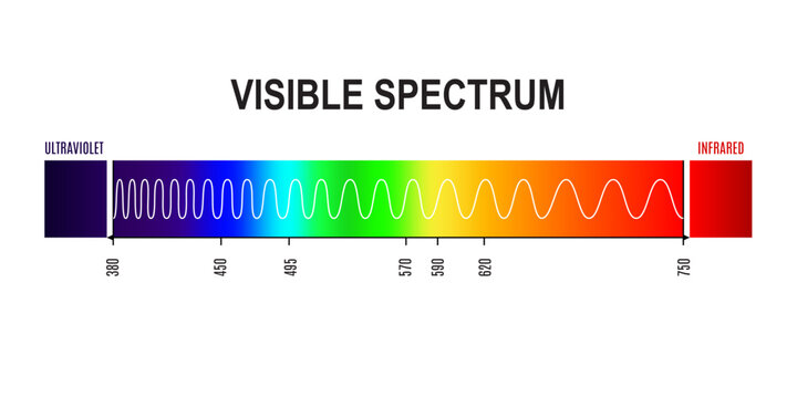 Wavelength, visible light spectrum wave from ultraviolet to infrared frequency. Physics and electromagnetic vector infographics with rainbow colors gradient chart or diagram of human eye visible light