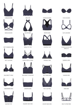Types of bras. Big vector set of black lingerie.