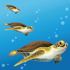 Vector Illustration, Sea Turtles, Swimming Turtles, Ocean Animals, Sea Creatures   