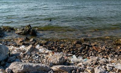 Fototapeta na wymiar Plastic garbage and microplastics on the shore of Khadzhibey Estuary