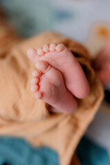 Cute newborn baby feet