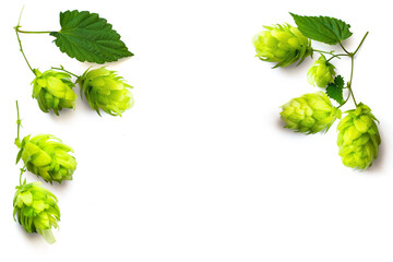 fresh hop seed cones and leaves collection with real transparent shadow isolated on transparent background; png food design element