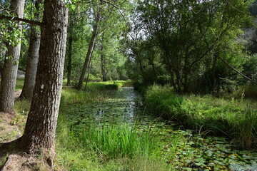Ca&ntilde;on de Rio Lobos