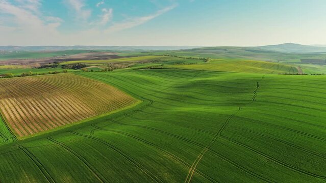 Aerial view of amazing green wavy hills with agricultural fields in spring. South Moravia region, Czech Republic, Europe, 4k