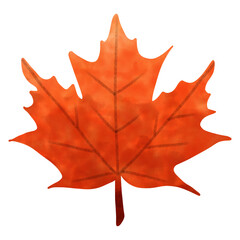 red maple leaf