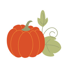Bright orange ripe autumn pumpkin. Harvest. Hand drawn plants and vegetables. Halloween symbol. Vector illustration
