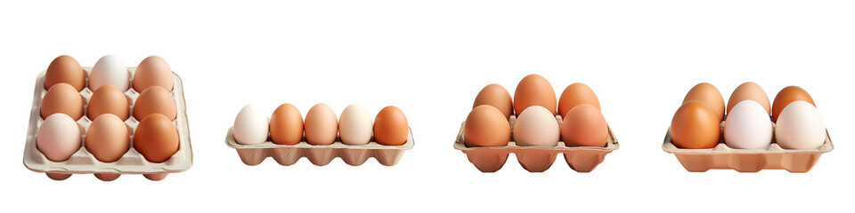 Chicken eggs arranged in a paper tray on a transparent background