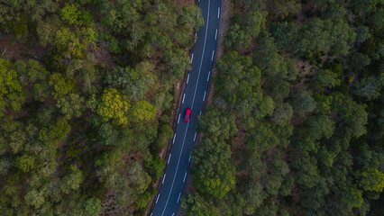 Arial top down drone shot of a fast red car driving through a forest in France