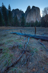 Yosemite meadow in the early morning