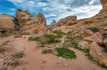 Beautiful layer of land in the Wave, Arizona. Landscape photography - 643727281