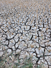 Traditional Indonesia beauty