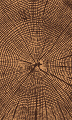 textured tree bark surface background. vector illustration