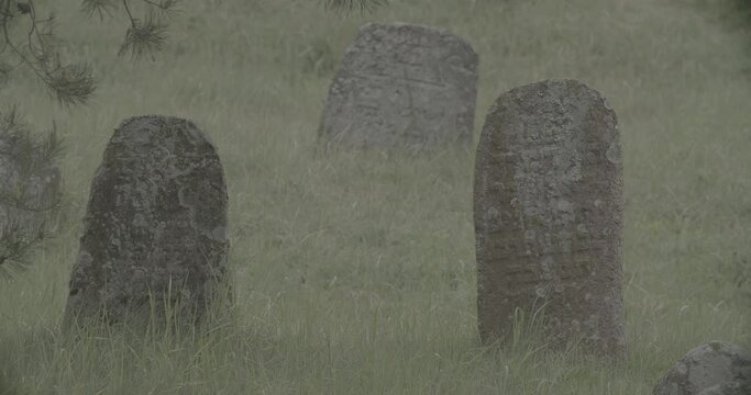 Old ancient Jewish cemetery in summer spring day. Druya, Belarus. green grass and many ancient stones. Headstone Headstones Tombstones jewish grave, clog2, clog, canon c70 c log 2.