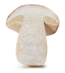 Porcini mushroom slice or cross cut of boletus on white background. File contains clipping path.