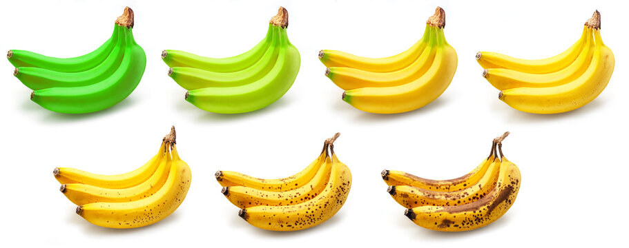 Set of banana bunches in different ripening stages isolated on white background. Food concept.