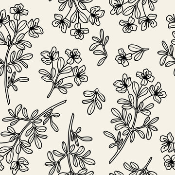 Hand drawn rue plant seamless pattern