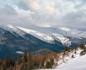 Morning winter snow covered scenery picturesque alp mountain ridge (Ukraine, Carpathian Mountains, Chornohora Range, tranquility peaceful view from Dzembronya village outskirts hills).