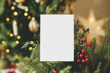 Christmas card mock up. Empty greeting card on fir branches with red berries against stylish...