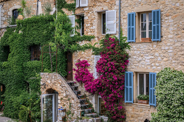 Fototapeta na wymiar Blooming bougainvilia, jasmine and ivy covered wall of am old stone house in the medieval town of Saint Paul de Vence, French Riviera, South of France