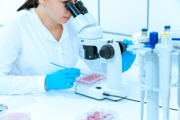 Embryo development examination: Microscopes enable studying the proces