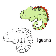 Vector illustration. Coloring book , Coloring iguana. Cartoon animal. Clipart set for nursery poster, Practice skills